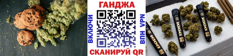 Canna-Cookies конопля Купить Новая Усмань