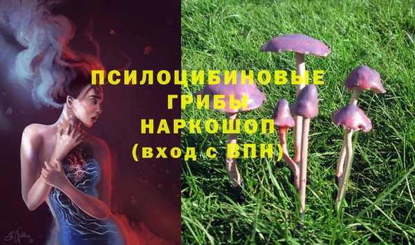 a pvp Заводоуковск