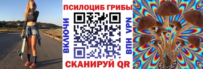 Купить закладки  Новая Усмань  Галлюциногенные грибы Psilocybine cubensis 